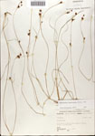 000071983-thumbnail.jpg