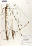 000071984-thumbnail.jpg