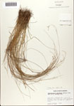 000072096-thumbnail.jpg