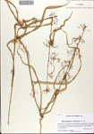 000072609-thumbnail.jpg