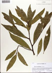 000072641-thumbnail.jpg