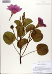 000072645-thumbnail.jpg