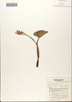 000072690-thumbnail.jpg