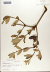 000073154-thumbnail.jpg