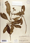 000073155-thumbnail.jpg