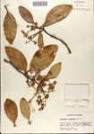 000073156-thumbnail.jpg