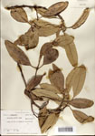 000073157-thumbnail.jpg