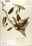 000073158-thumbnail.jpg