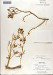 000073162-thumbnail.jpg