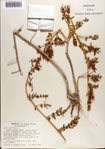 000073163-thumbnail.jpg