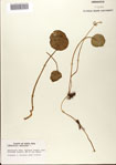 000073229-thumbnail.jpg