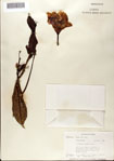 000073387-thumbnail.jpg