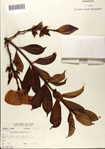 000073389-thumbnail.jpg