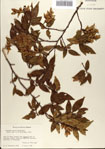 000073440-thumbnail.jpg