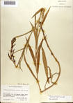 000073507-thumbnail.jpg