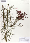 000074034-thumbnail.jpg