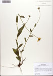 000074165-thumbnail.jpg