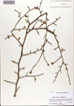 000074234-thumbnail.jpg