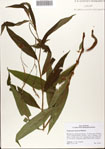 000074235-thumbnail.jpg