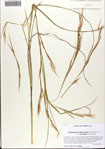 000074638-thumbnail.jpg