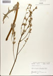 000075129-thumbnail.jpg
