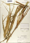 000075234-thumbnail.jpg