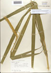 000075235-thumbnail.jpg