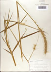 000075238-thumbnail.jpg