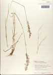 000075302-thumbnail.jpg