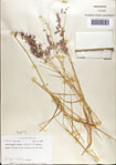 000075303-thumbnail.jpg