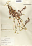 000075304-thumbnail.jpg