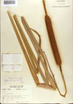 000075576-thumbnail.jpg
