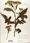 000075678-thumbnail.jpg
