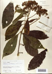 000075689-thumbnail.jpg