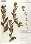 000075698-thumbnail.jpg