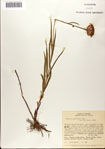000075745-thumbnail.jpg