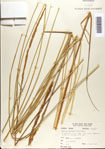 000075880-thumbnail.jpg