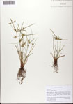000076179-thumbnail.jpg