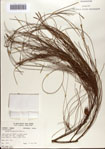 000076246-thumbnail.jpg