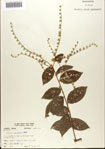 000076285-thumbnail.jpg