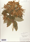 000076298-thumbnail.jpg