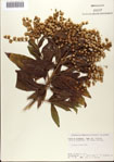 000076312-thumbnail.jpg