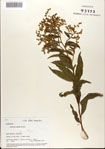 000076314-thumbnail.jpg