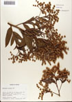 000076316-thumbnail.jpg