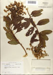000076318-thumbnail.jpg