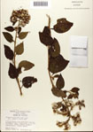 000076328-thumbnail.jpg