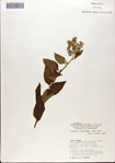 000076331-thumbnail.jpg