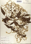 000076334-thumbnail.jpg
