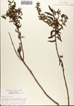 000076337-thumbnail.jpg