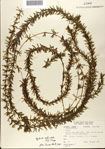 000076866-thumbnail.jpg